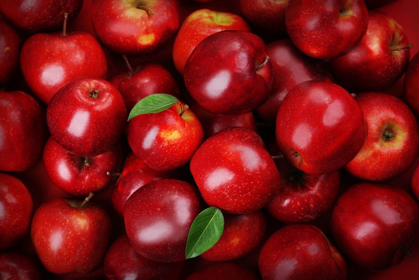 برنامه تغذیه سیب درختی